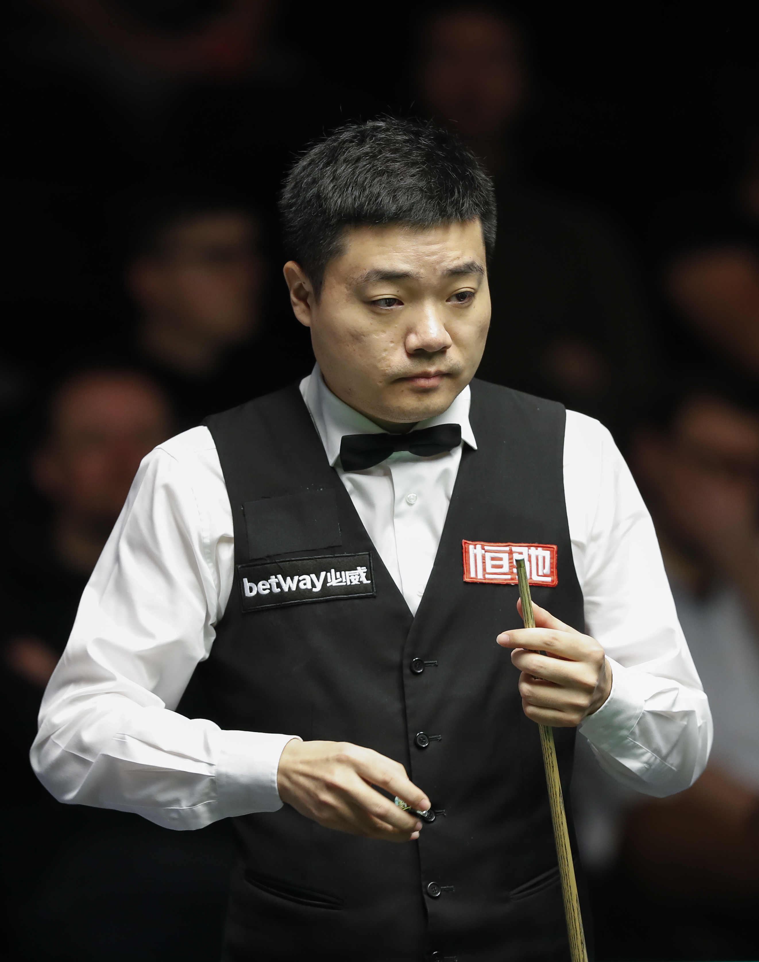 的真实写照 的真实写照